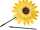 Windrad Sonnenblume XXL, 30cm, faltbar