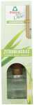 FROSCH Oase Raumduft Zitronengras 90ml