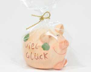 Glücksbringer Schwein Viel Glück! 7x5cm