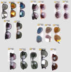 AZOZA Sonnenbrille Sortiment 288er Display 21fach sort