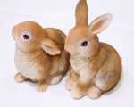 Toller Hase 9x6,7x5,1cm aus Kunst-Harz, 2 Posen sortiert  Lieferumfang 2 Stück sortiert