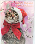 Schmuckadventskalender XL, 2 Modelle sortiert