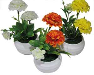 Blume Kugelchrysantheme im weissen Topf, 14cm