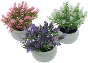 Blumenmix im schicken weissem runden Topf, 12cm