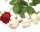 Blume Edelrose, 6x44cm, liebevoll und filigran