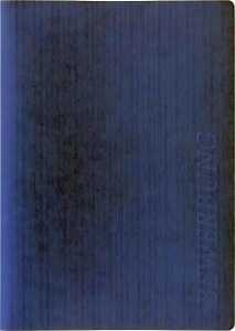 BRUNNEN Bewerbungsmappe 2-teilig blau LINES 102012830