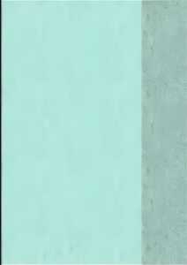 BRUNNEN Hefthülle A5 transparent grün Folie 104050550