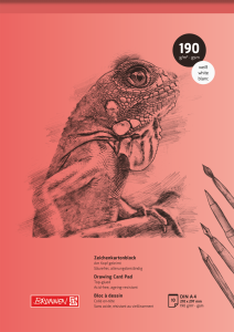 BRUNNEN Zeichenkartonblock A4 190g 10 Blatt 1047344