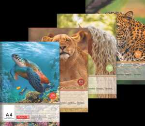 Zeichenblock A4 20Bl 4061947136265