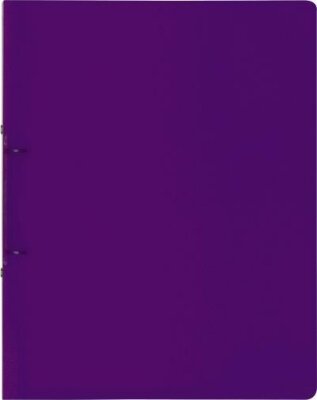 BRUNNEN Ringbuch A4 FACT! 25mm 2-Ringe violett 106550560