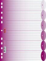 BRUNNEN Ringbuchregister A4 6teilig pink 106659426