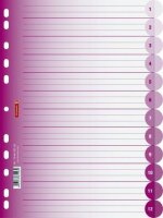 BRUNNEN Ringbuchregister A4 12-teilig pink 106659526