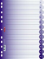 BRUNNEN Ringbuchregister A4 12-teilig purple 106659560