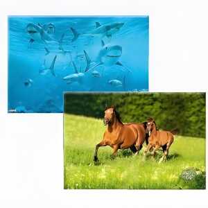 BRUNNEN Schreibunterlage Fans of Earth Karton laminiert