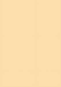 HEYDA 204711412 Tonpapier A4 100 % Recyclingpapier beige