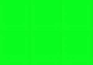 TSUKINEKO 211511840 Stempelkissen VersaColor 10 x 6 cm grün