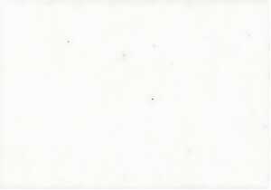 KNORR-PRANDELL Faserseide 50x70cm naturweiss 211602698