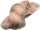 KNORR PRANDELL 212506028 Märchenwolle beige