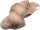 KNORR PRANDELL 212506228 Märchenwolle beige