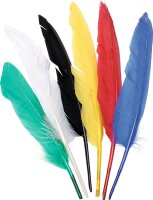 KNORR PRANDELL 212543806 Indianerfedern 15 - 22 cm bunt...