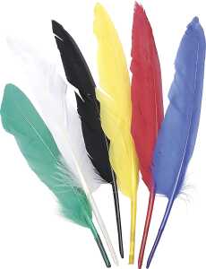 KNORR PRANDELL 212543807 Indianerfedern 25 - 30 cm bunt sortiert iert
