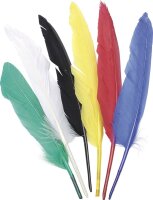 KNORR PRANDELL 212543807 Indianerfedern 25 - 30 cm bunt...