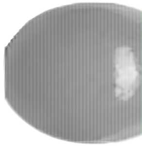 KNORR-PRANDELL Holzperle 10mm maisgelb 50er 216030068