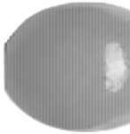 KNORR-PRANDELL Holzperle 10mm maisgelb 50er 216030068