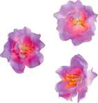 KNORR PRANDELL Dekostreu Blumen Blüten Ø 25...