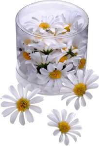 Dekostreu Blumen Margeritenblüten Ø 4 cm Kunststoff weiss gelb