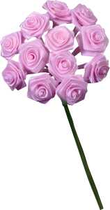 KNORR PRANDELL 216547222 Diorrose 10 x 15 cm rosa