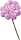 KNORR PRANDELL 216547222 Diorrose 10 x 15 cm rosa