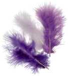 KNORR PRANDELL 216619931 Marabufedern-Mix ca. 10 cm orchidee