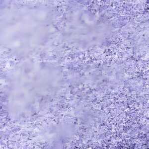 KNORR PRANDELL 218236708 Farbsand 01 - 05 mm flieder