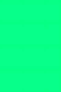 KNORR PRANDELL 218436479 Filz 20 x 30 x 0,1 cm 100 % Viskose moosgrün