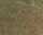 KNORR PRANDELL 218438153 Formfilz 30 x 45 x 0,1 cm 100 % Viskose rot