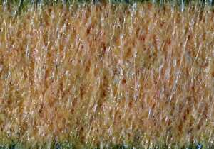 KNORR PRANDELL Polyesterfilz 30 x 45 x 03 cm 100 % Polyester gelb