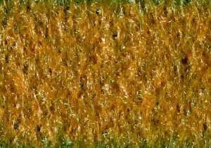 KNORR PRANDELL Polyesterfilz 30 x 45 x 03 cm 100 % Polyester orange