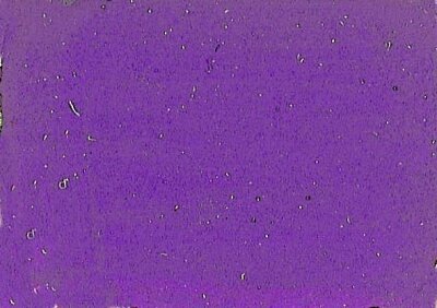 WACO 219004548 Acrylmattfarbe FIN violett