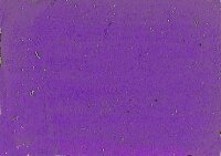 WACO 219004548 Acrylmattfarbe FIN violett