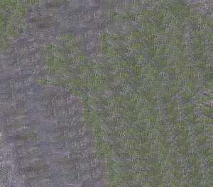 WACO 219004734 Acrylmattfarbe FIN ochsenblut