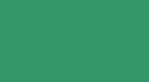 KNORR-PRANDELL WACO Carpet Color 50ml grün 219139940