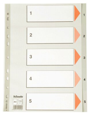 LEITZ Register A4 1-5 grau PP FolieDeckblatt aus Kartonmit folien