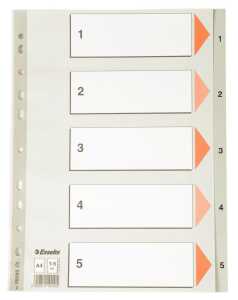 LEITZ Register A4 15 grau PP FolieDeckblatt aus Kartonmit folien