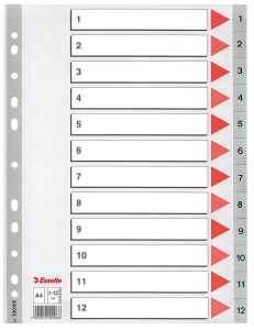 LEITZ Register A4 112 grau PP FolieDeckblatt aus Kartonmit folien