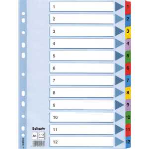 LEITZ Register A4 112 weiß 100162 Karton fbg.Tabs