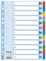 LEITZ Register A4 1-12 weiß 100162 Karton fbg.Tabs