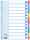 LEITZ Register blanko Karton A4 12 Blatt weiß farbige Taben
