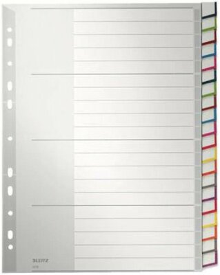 LEITZ 1278 Register - PP blanko A4 20 Blatt grau