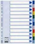 ESSELTE Register blanko A4 PP 12teilig + Deckblatt farbig